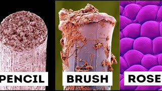 New objects under electron microscope 🔬 [upl. by Lyram145]