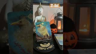 gémeos ♊️ gemini tarot cartadodia oracle tarotreading cardoftheday [upl. by Gurl]