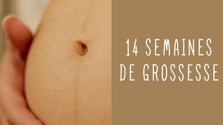 14 semaines de grossesse [upl. by Arag224]