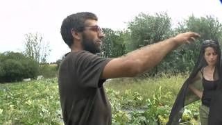 2018  Visite du Jardin de Manspach  Passepieds  Courgettes CV bâché  AMAP  Biodyn  1622 [upl. by Troxell819]