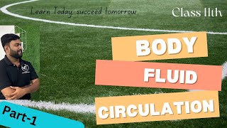 Body Fluid And Circulation  BIOLOGY  Class 11th Mohit Gorawat plus [upl. by Alleuqahs]