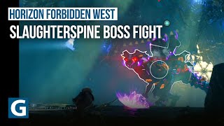 Horizon Forbidden West  GEMINI quest  Slaughterspine boss fight [upl. by Ietta]