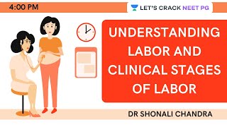 Understanding Labor amp Clinical Stages of Labor  Target NEET PG 2021  Dr Shonali Chandra [upl. by Oknuj]