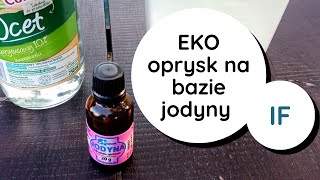 IF rewelacyjny👌 oprysk bakterio i grzybobójczy🔥 na bazie jodyny Zaraza ziemniaczana🍅 mączniak itd [upl. by Deeraf]