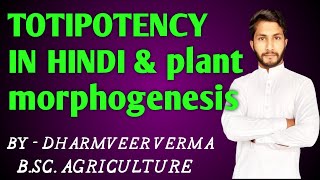 💡TOTIPOTENCY IN HINDI plant morphogenesis [upl. by Adaynek]