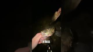 4 BASS 💀 fish fishing bass bassfishing viral bait [upl. by Atram]