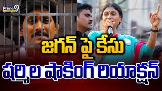 LIVE🔴జగన్ పై కేసు షర్మిల షాకింగ్ రియాక్షన్  Sharmila React Raghuram Case Filed On Jagan  Prime9 [upl. by Abbub553]