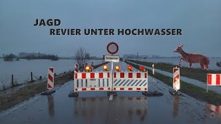 Jagdrevier in Niedersachsen unter Hochwasser  Jagdkrone [upl. by Deland]