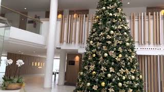 Guayarmina Princess Hotel Tenerife [upl. by Ettolrahs]