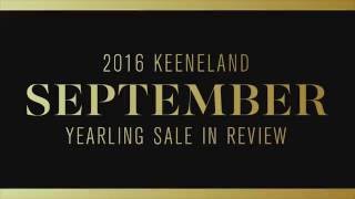 2016 Keeneland September Yearling Sale in Review [upl. by Nerret]