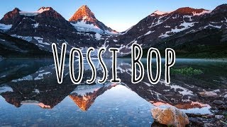 Stormzy  Vossi Bop Clean  Lyrics [upl. by Humphrey582]