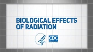 Biological Effects of Radiation [upl. by Yrod258]