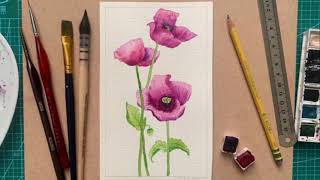 Wild Poppy Watercolour Tutorial for Beginners [upl. by Llennol602]