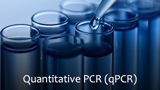 Quantitative Polymerase Chain Reaction qPCR [upl. by Irama]