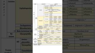 Antibiotics classification [upl. by Nigle]