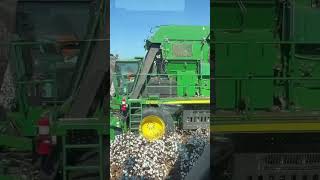 John Deere baler cotton pickers harvesting in Dublin Georgia cottonbales tpfcotton bowenseedfarm [upl. by Nnil321]