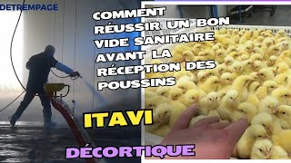 Comment Réussir Un bon vide Sanitaire Avant la réception des poussins ITAVI Décortique [upl. by Nadeen]