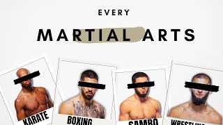 The Best Display Of Every Martial Art In MMA [upl. by Ardolino]