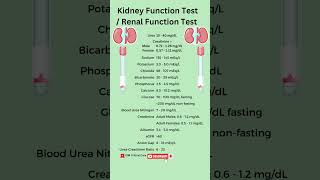 Kidney Function Test  RFT  KFT  kidney test  gfr kidney kft rft gfr [upl. by Mcgrath777]