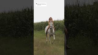 🐴❤️🥰 gilaryeq equestrian horselover horseriding horsegirl horsebackriding fyp [upl. by Haisi]