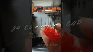 Pull amp Push Cap for Dishwasher Fluid from Mincong Mould [upl. by Mariande]