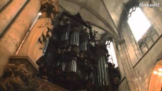 Halberstadt  Dom  Orgelkonzert [upl. by Wun]