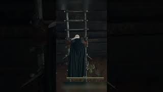 Pawns Dont Use Ladders in This Game dragonsdogma2 gaming bestmoments shorts [upl. by Eirehc]