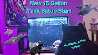 Starting Again  Relaxing Aquarium 15 Gallon [upl. by Harvey765]