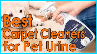 Best Carpet Cleaners for Pet Urine Top 5 Picks [upl. by Messing883]