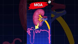 Furosemide Mode Of Action animation pharmacology pharmacyindia [upl. by Aissat]