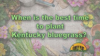 Best Time to Plant Kentucky Bluegrass [upl. by Bethanne571]