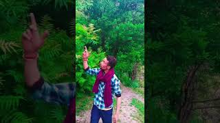 new dogri pahadi Himachali song Dhara din dubi Ho Gaya Himachali Pahari song Rinku Bhardwaj Hp [upl. by Cortney]