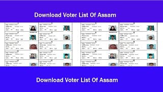 How To Download Voter List Assam [upl. by Enerak]