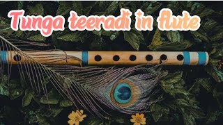 Tunga teeradi Bajan in fluteRaga Bhopali [upl. by Mercie802]