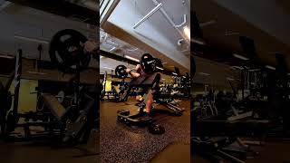 Seated Ez Bar Preacher Curls  Incline Bench Ez Bar Skullcrushers [upl. by Anom448]