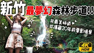 美到偶像劇來取景的超美森林步道｜你沒聽過的馬武督森林｜zv升級vlog ｜新竹景點 4K HDR [upl. by Doll]