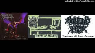 90s Underground Death Metal Acoustic Interludes Part I [upl. by Obrien]