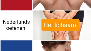 Het lichaam  body parts  woordenschat  Nederlands leren  NT2  learning Dutch [upl. by Aihseya366]