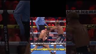 Devin Haney Defeated Vasyl Lomachenko Via 12 Round Unanimous Decision [upl. by Narok]