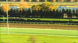 1996 Breeders Cup Turf [upl. by Daigle]