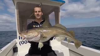 Spodsbjerg Langeland 2017  SDM Fishing Dänemark Dorsch Danmark Torsk  Denemarken Kabeljauw [upl. by Nanni]