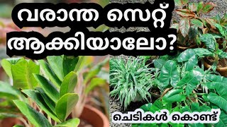 ചെടികൾ കൊണ്ട് വീട് പൊളിയാക്കാം plants decoration indoorplants aglonima spiderplant rearranging [upl. by Vanda544]