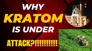 Kratom Kingdom videos explore the good and bad of kratom as well as a vlog [upl. by Dajma508]