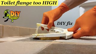 How To Replace A Toilet Gasket  Ace Hardware [upl. by Julietta]