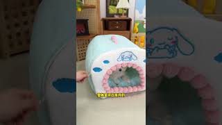 Bigeared dog cobranded kennel pink and tender beautiful and warm  cute pets  doghouse  pe [upl. by Burnett]