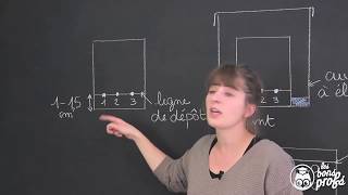 Chromatographie sur couche mince  PhysiqueChimie  Les Bons Profs [upl. by Annaeel]