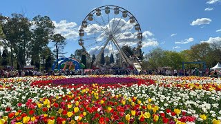 Floriade Canberra 2022  The Wonderful and Magical Garden in Australia [upl. by Hyacinthe914]