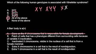 Klinefelter syndrome and Barr body explained [upl. by Aimerej]