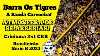 ARREPIA ATMOSFERA DA BANDA CARVOEIRA  Os Tigres Criciúma  Bancada de Alento 1 [upl. by Darren]