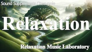 Healing Sounds Videos for Relaxation Rhythm of waves Healing Music Zen Meditation Work ASMR BGM [upl. by Jesus79]